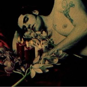 Meet your Posher, Tansley